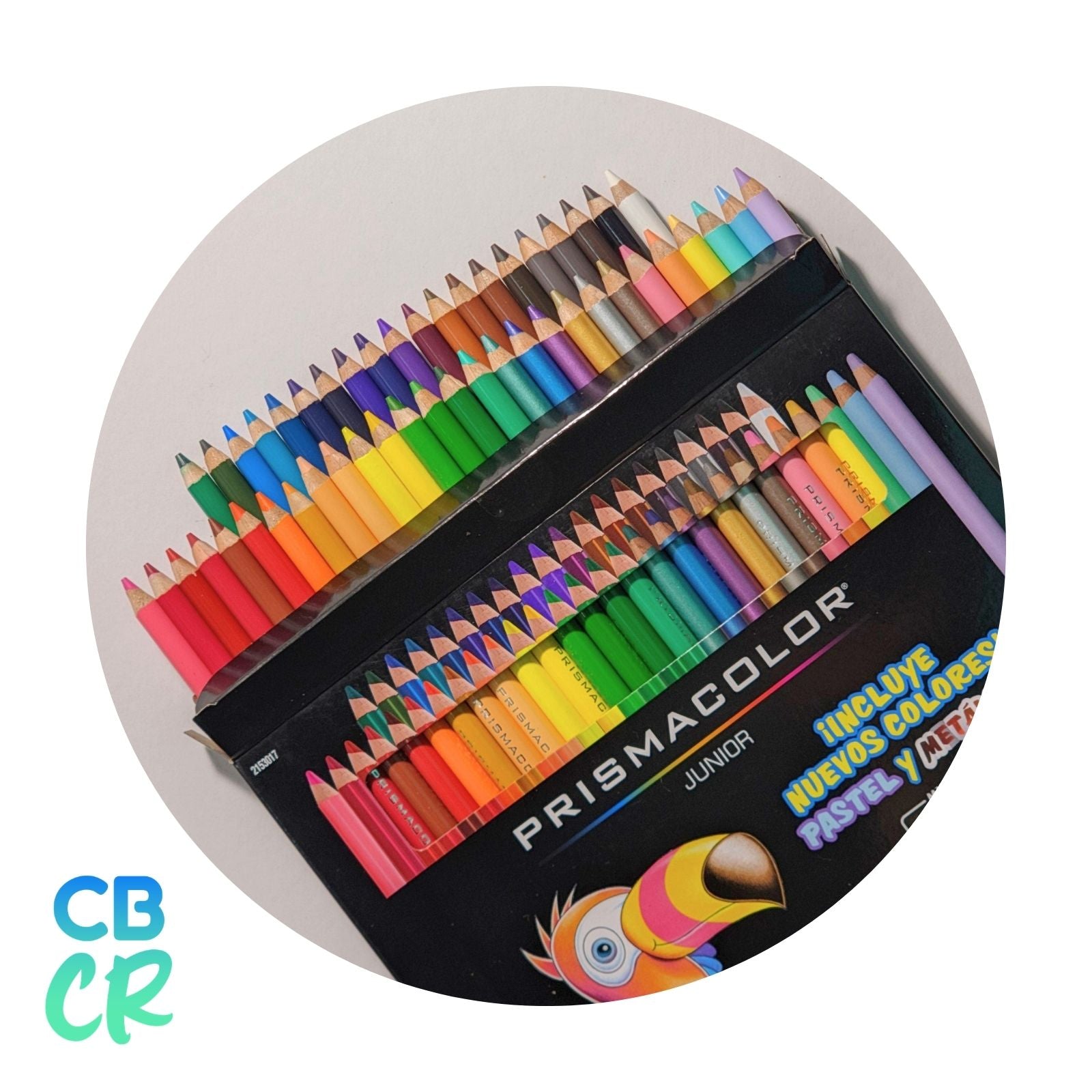 Lápices de Color de 48 Unidades | Prismacolor Junior