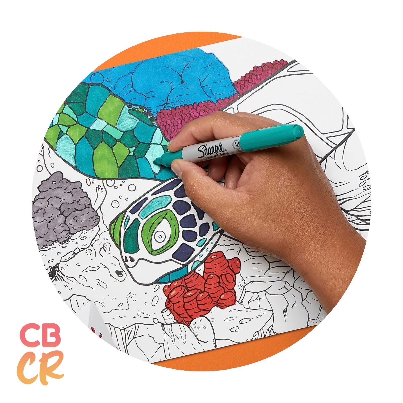 Marcadores Permanentes de 12 Colores | SHARPIE