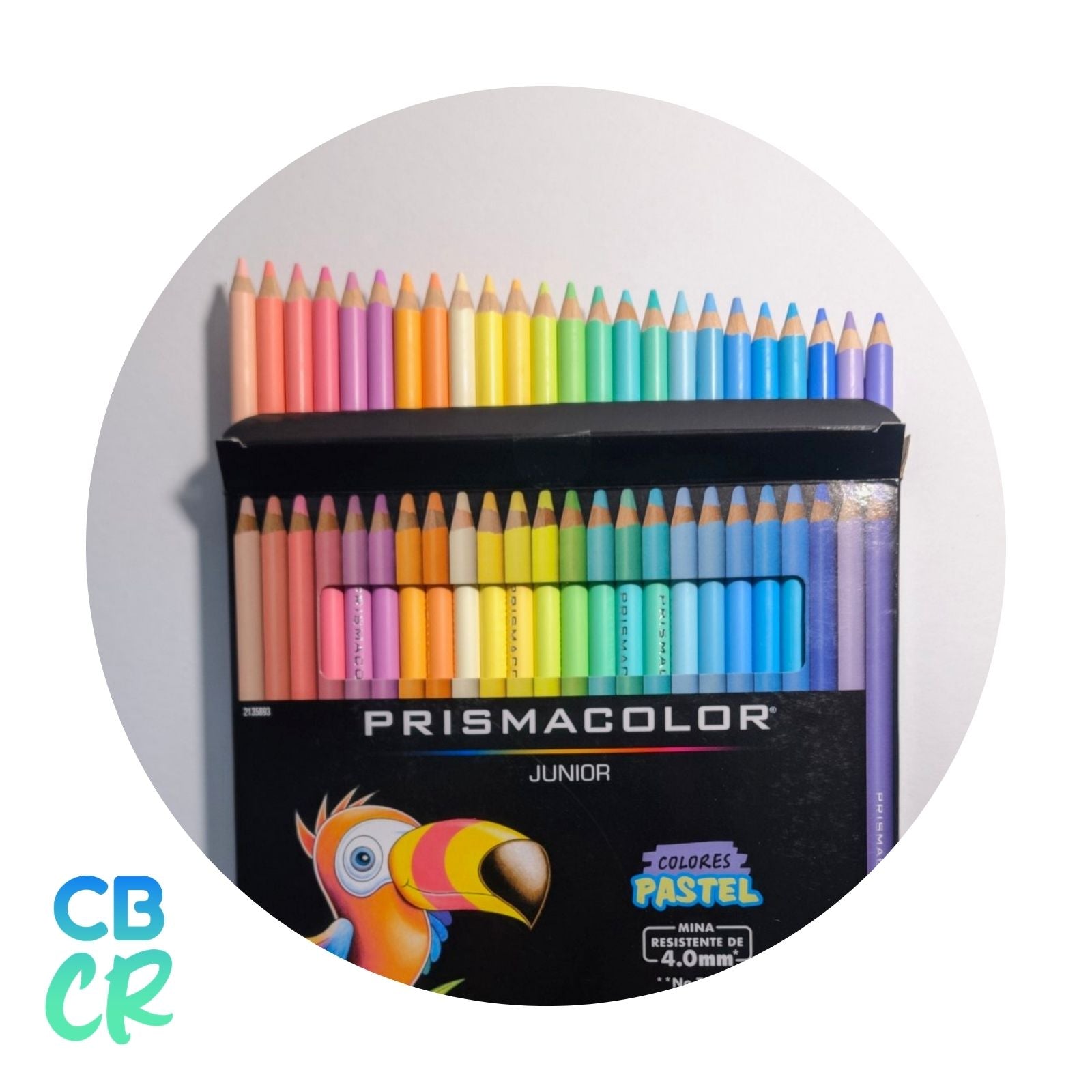 Lápices de Color Pastel de 24 Unidades | Prismacolor Junior