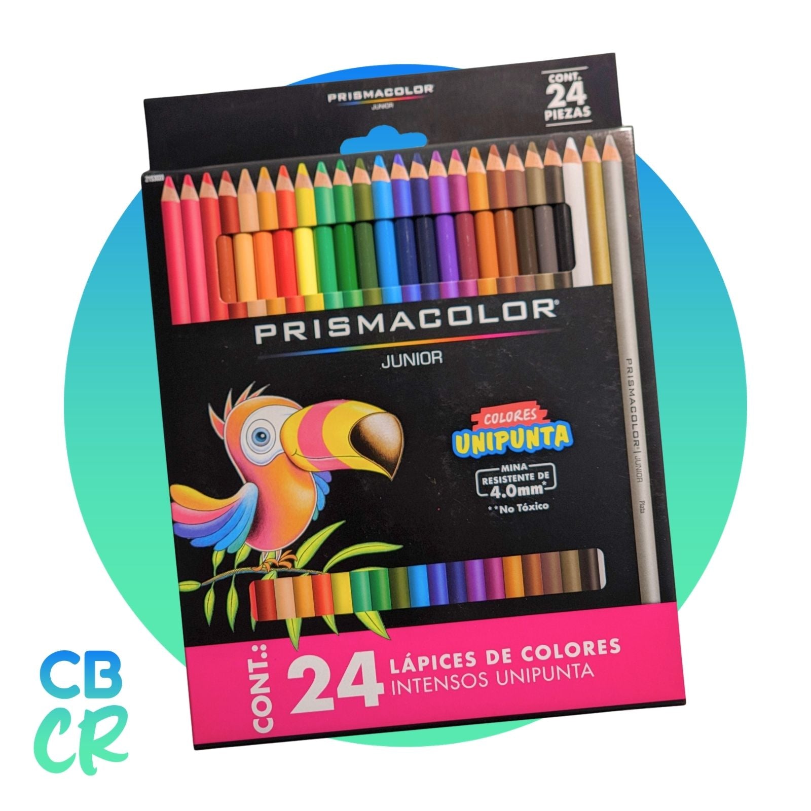 Lápices de Color de 24 Unidades | Prismacolor Junior