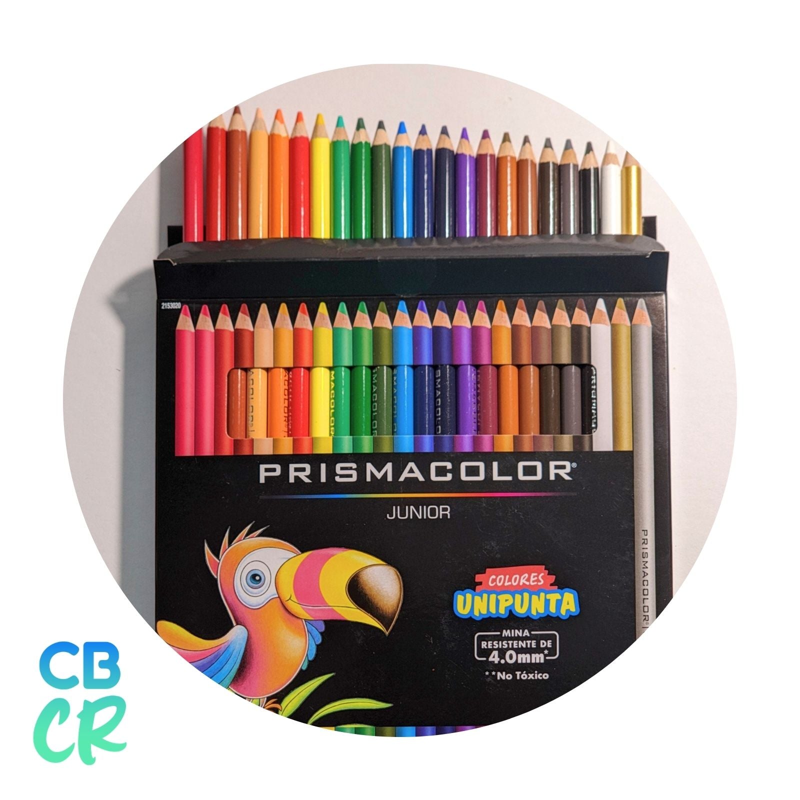 Lápices de Color de 24 Unidades | Prismacolor Junior