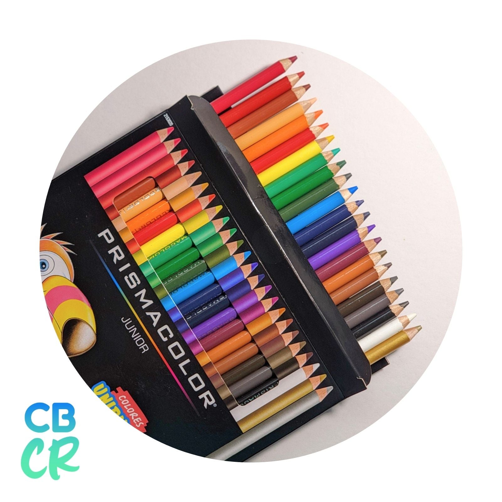Lápices de Color de 24 Unidades | Prismacolor Junior