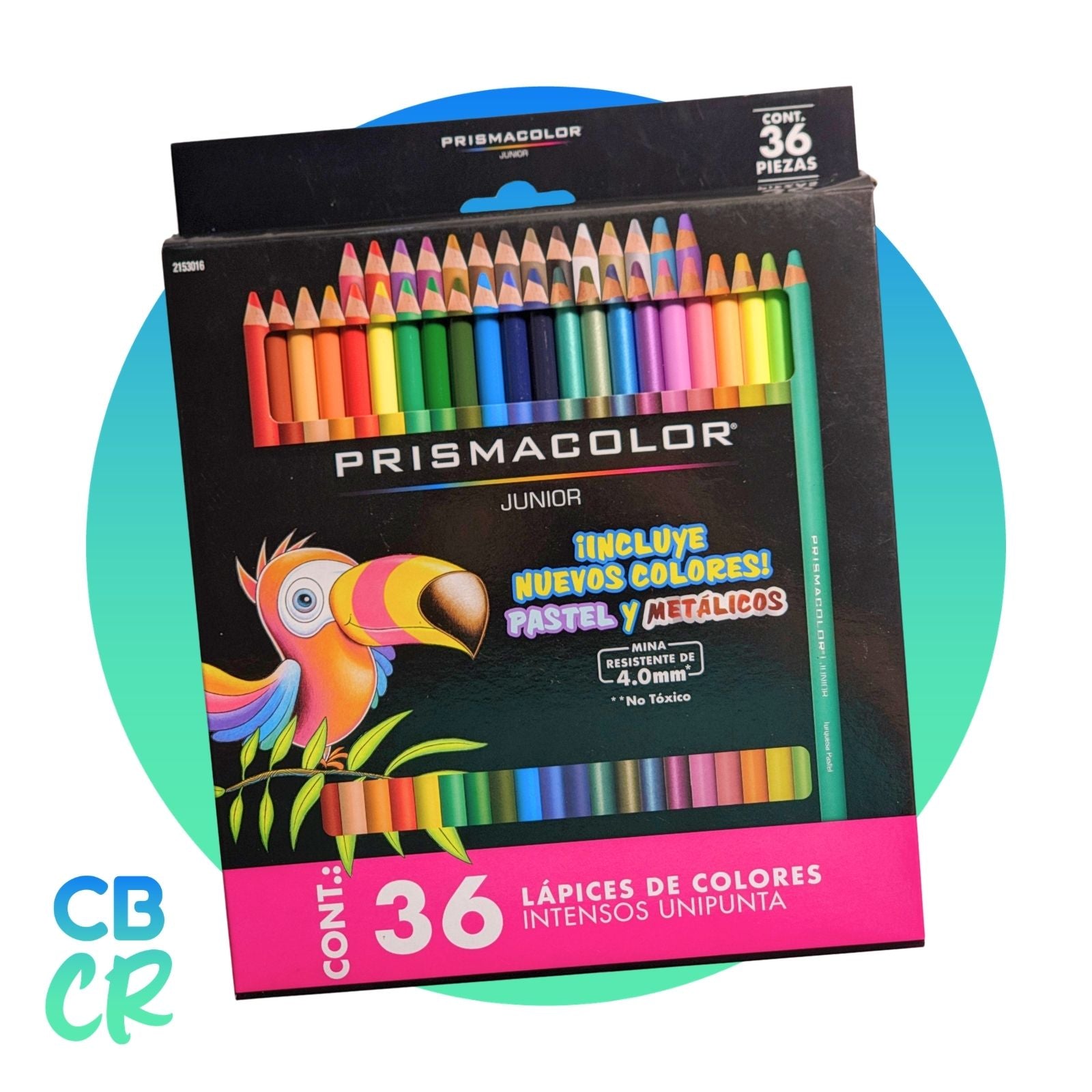 Lápices de Color de 36 Unidades | Prismacolor Junior