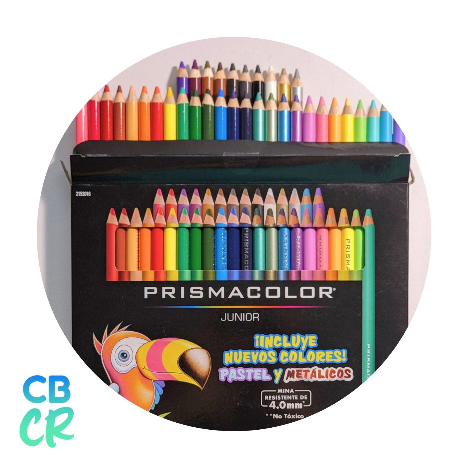 Lápices de Color de 36 Unidades | Prismacolor Junior